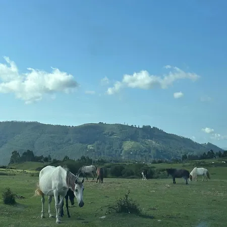 El Refugio De Corrales 펜션