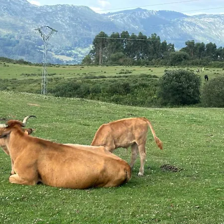 펜션 El Refugio De Corrales