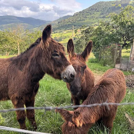 펜션 El Refugio De Corrales