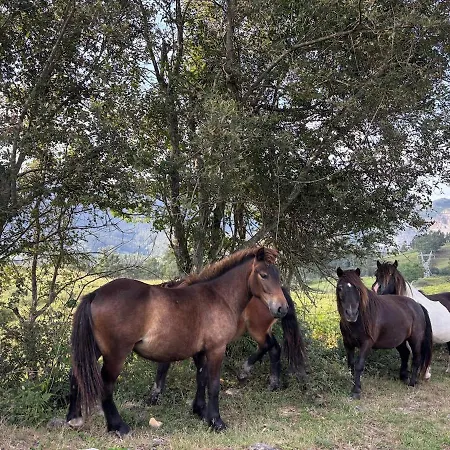 펜션 El Refugio De Corrales *