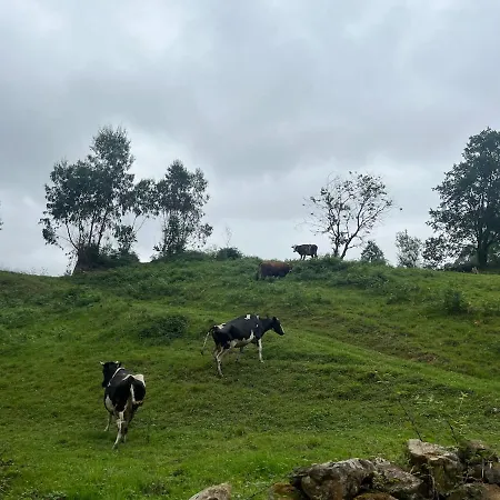 El Refugio De Corrales 펜션 San Mateo (Cantabria)