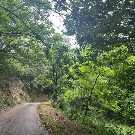 El Refugio De Corrales 펜션