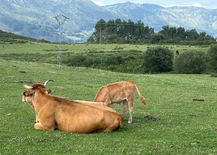 Prázdninový dům El Refugio De Corrales