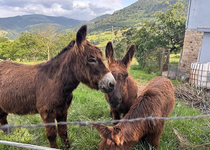 Prázdninový dům El Refugio De Corrales