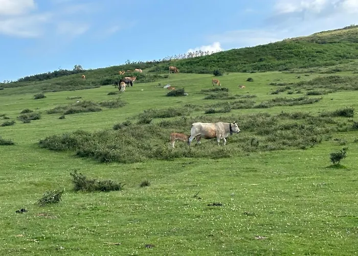 El Refugio De Corrales Prázdninový dům