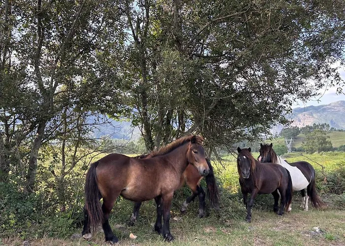 بيت للعطل El Refugio De Corrales *