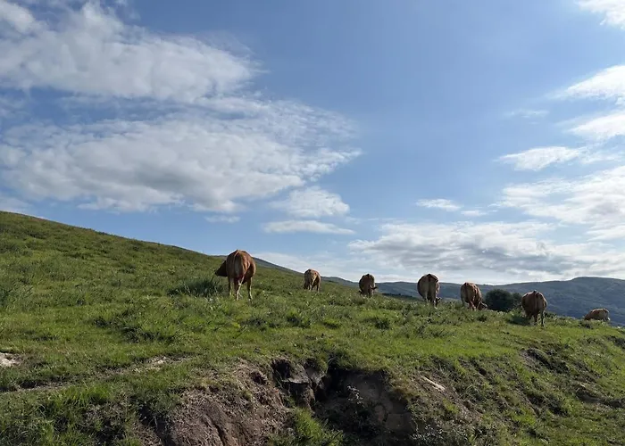 El Refugio De Corrales *