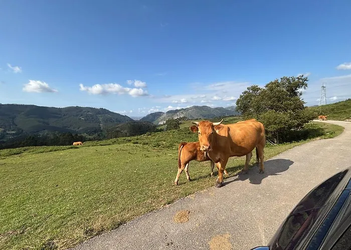 El Refugio De Corrales بيت للعطل *