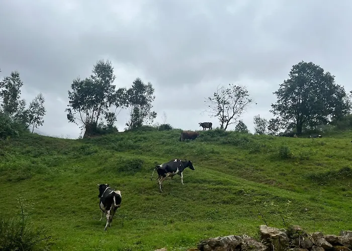 El Refugio De Corrales بيت للعطل San Mateo (Cantabria)