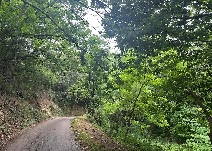 El Refugio De Corrales بيت للعطل