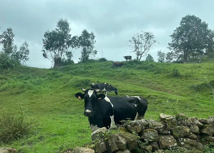 بيت للعطل El Refugio De Corrales San Mateo (Cantabria)