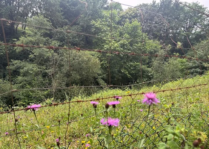 El Refugio De Corrales San Mateo (Cantabria)